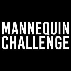 Mannequin Challenge Song Song Lyrics