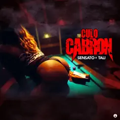 Culo C****n - Single by Sensato & Tali Goya album reviews, ratings, credits