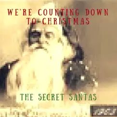 We're Counting Down to Christmas Song Lyrics