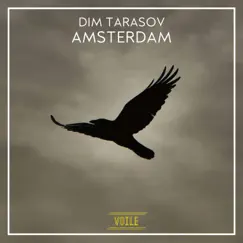 Amsterdam by Dim Tarasov album reviews, ratings, credits