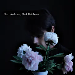 Black Rainbows by Brett Anderson album reviews, ratings, credits