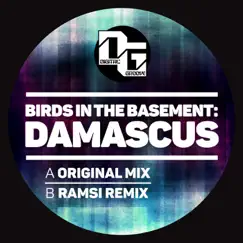 Damascus - Single by Birds in the Basement album reviews, ratings, credits