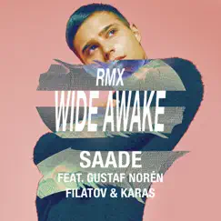 Wide Awake (feat. Gustaf Norén & Filatov & Karas) [Red Mix] Song Lyrics