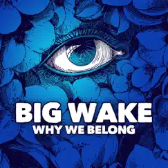 Why We Belong - Single by Big Wake album reviews, ratings, credits