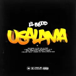Usalama (feat. Boo Banga, Lil Yee, Yid, Lil Purp, Llama Llama, Lil Goofy, 3rd World Dj, Lil AJ, Joski, Young Getta, Dro Nole, 2 Thangz, J Hollow, T Milli, L. Boogie, K.E., Yatta & Philthy Rich) - Single by Lil Blood album reviews, ratings, credits