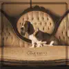 Contigo - Single album lyrics, reviews, download