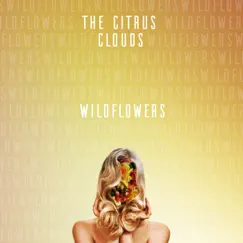 Wildflowers - Single by The Citrus Clouds album reviews, ratings, credits