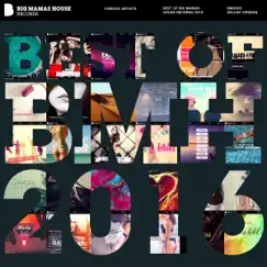 Best of Big Mamas House Records 2016 (Deluxe Version) by Various Artists album reviews, ratings, credits