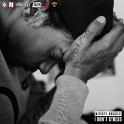 I Don't Stress - Single by Nipsey Hussle album reviews, ratings, credits