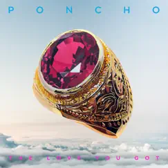 The Love You Got - Single by Poncho album reviews, ratings, credits
