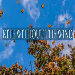Kite Without the Wind - Single by Mark Colin Henderson album reviews, ratings, credits