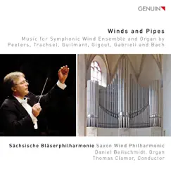 Wind & Pipes by Daniel Beilschmidt, Saxon Wind Philharmonic & Thomas Clamor album reviews, ratings, credits