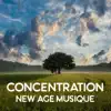 Concentration: New age musique - Calme sons de la nature pour l'apprentissage, Lire des livres, Être plus efficace et productif, Étudier et travailler à zen album lyrics, reviews, download