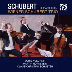Trio B-Dur, Op. 99, D. 898: IV. Rondo, Allegro vivace Song Lyrics