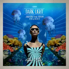 Dark Light (feat. Shyam P) - Single by Jako Diaz album reviews, ratings, credits