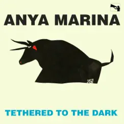 Tethered to the Dark - Single by Anya Marina album reviews, ratings, credits