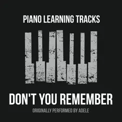Don't You Remember (Originally Performed by Adele) [Piano Version] Song Lyrics