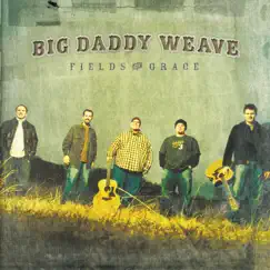 Fields of Grace by Big Daddy Weave album reviews, ratings, credits