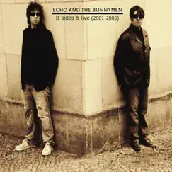 B-Sides and Live (2001 - 2005) by Echo & The Bunnymen album reviews, ratings, credits