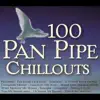 100 Pan Pipe Chillouts album lyrics, reviews, download