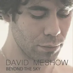 Beyond the Sky - Single by David MeShow album reviews, ratings, credits