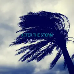 After the Storm - Single by Djsneverendingstory album reviews, ratings, credits