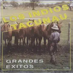 Grandes Éxitos by Los Indios Tacunau album reviews, ratings, credits
