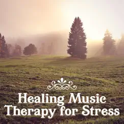 Healing Music Therapy for Stress: Tracks of Calm Music, Relaxation, Prayer, Meditation, Zen Garden, Chackra Balancing, Deep Sleep, Nature Sounds by Healing Meditation Zone album reviews, ratings, credits
