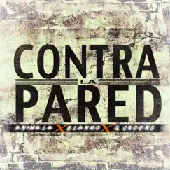 Contra la Pared (feat. Blancko & Q Greens) - Single by An1mala album reviews, ratings, credits