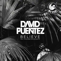 Believe (feat. Shawnee Taylor & MTS) - Single by David Puentez album reviews, ratings, credits