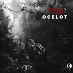 Ocelot (Zeskullz Remix) Song Lyrics