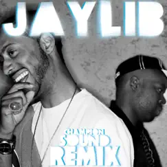 Champion Sound: The Remix by Jaylib album reviews, ratings, credits