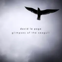Glimpses of the Seagull - EP by David Le Page album reviews, ratings, credits