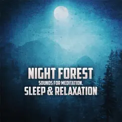 Night Forest Sounds for Meditation, Sleep & Relaxation by Music2meditate album reviews, ratings, credits