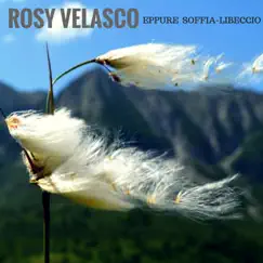 Eppure soffia (Libeccio) - Single by Rosy Velasco album reviews, ratings, credits