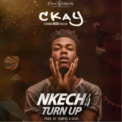 Nkechi Turn Up - Single by CKay album reviews, ratings, credits