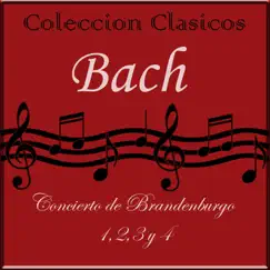 Brandenburg Concertos, No. 1 in F Major, BWV 1046: II. Adagio Song Lyrics