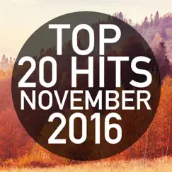 Top 20 Hits November 2016 by Piano Dreamers album reviews, ratings, credits