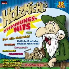 Holzmichl's Stimmungs-Hits by Various Artists album reviews, ratings, credits