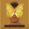 Golden Drain - Single album lyrics, reviews, download
