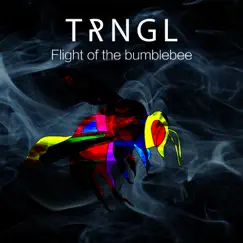 Flight of the Bumblebee Song Lyrics