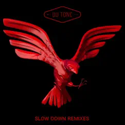 Slow Down (Remixes) - EP by Du Tonc album reviews, ratings, credits