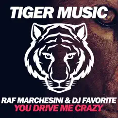 You Drive Me Crazy - Single by Raf Marchesini & DJ Favorite album reviews, ratings, credits