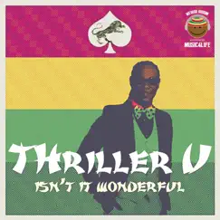 Isn't It Wonderful - Single by Thriller U album reviews, ratings, credits