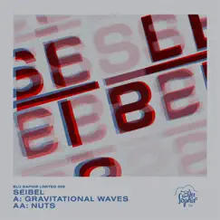 Gravitational Waves / Nuts - Single by Seibel album reviews, ratings, credits