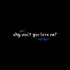Why Won't You Love Me? (feat. Mystique) - Single album lyrics, reviews, download