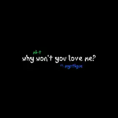 Why Won't You Love Me? (feat. Mystique) Song Lyrics