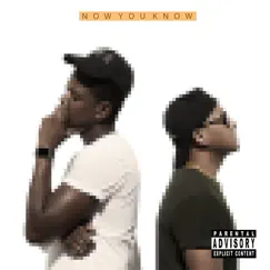 Now You Know by Wordplay & Mike Truly album reviews, ratings, credits