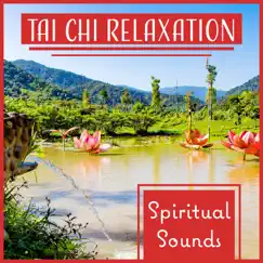 Tai Chi Relaxation: Spiritual Sounds of New Age Music for Reiki Healing and Shiatsu Massage, Yoga & Meditation by Tai Chi Spiritual Moments album reviews, ratings, credits