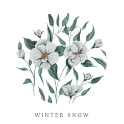 Winter Snow - Single by Audrey Assad album reviews, ratings, credits